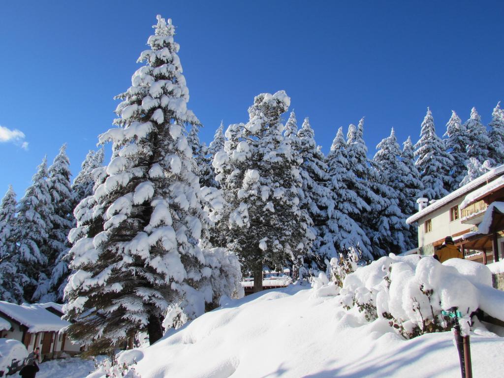 Ruca Piren Villa Bariloche Buitenkant foto